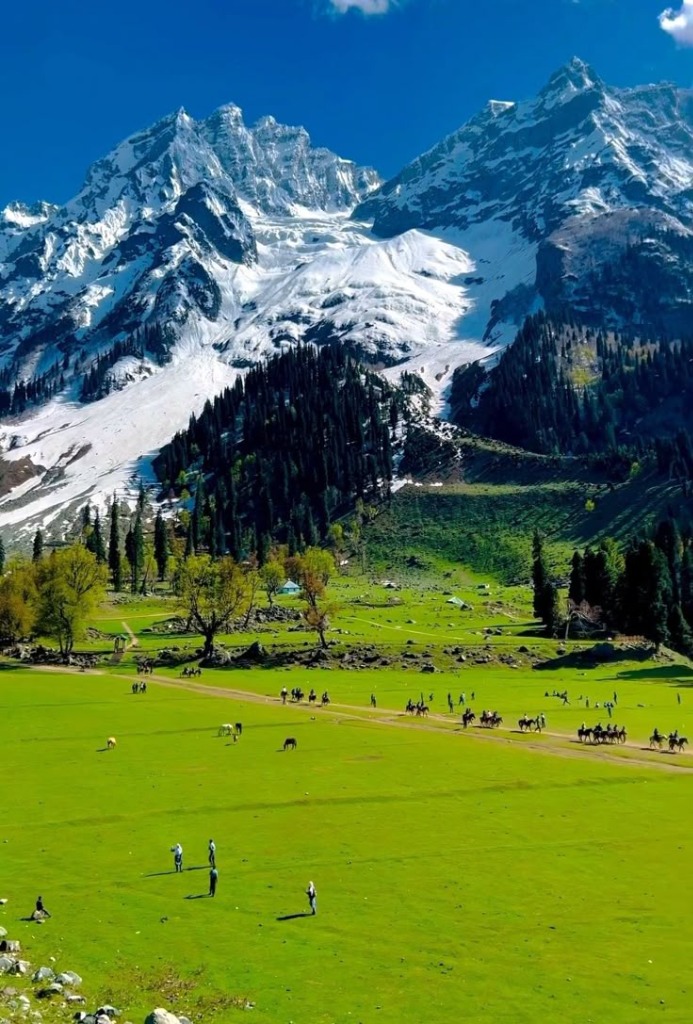 Gulmarg Snow Mountains