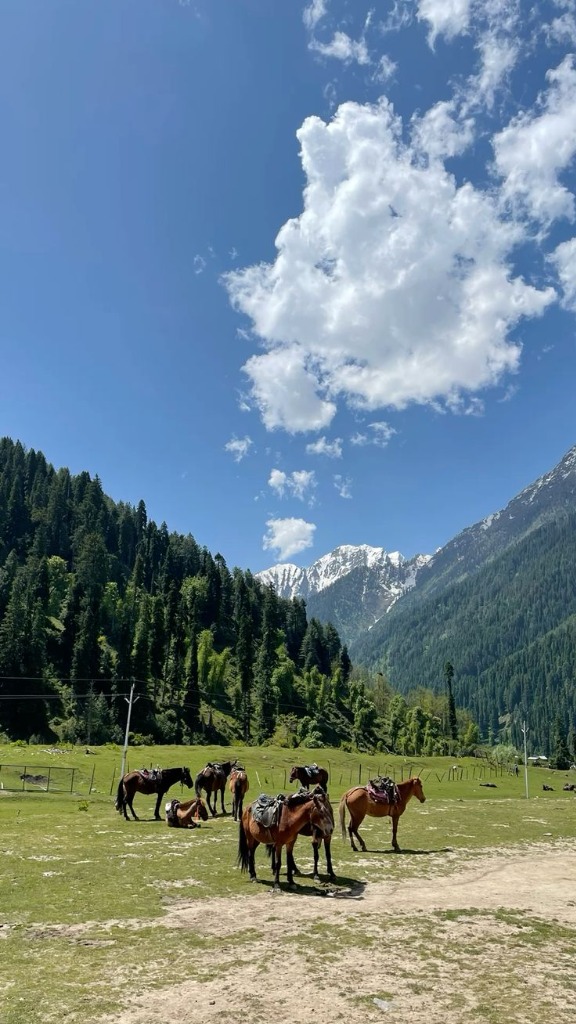 Scenic Valley of Kashmir